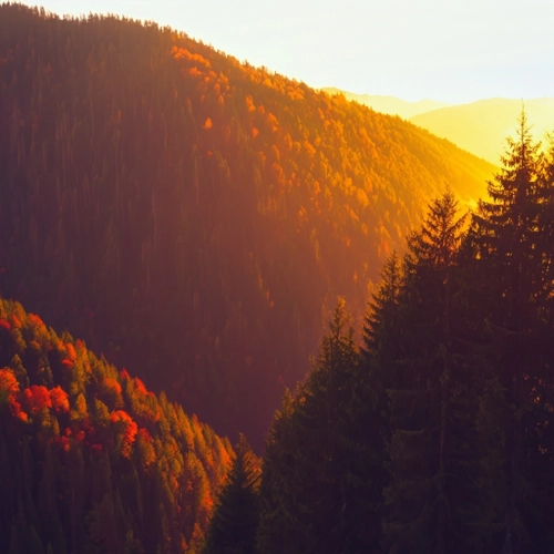 Autumn Sunset Landscape