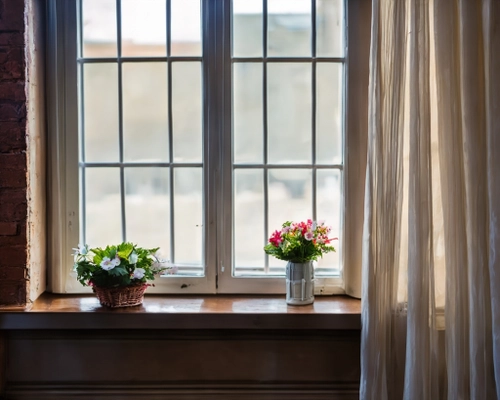 Bright Window Flower Display