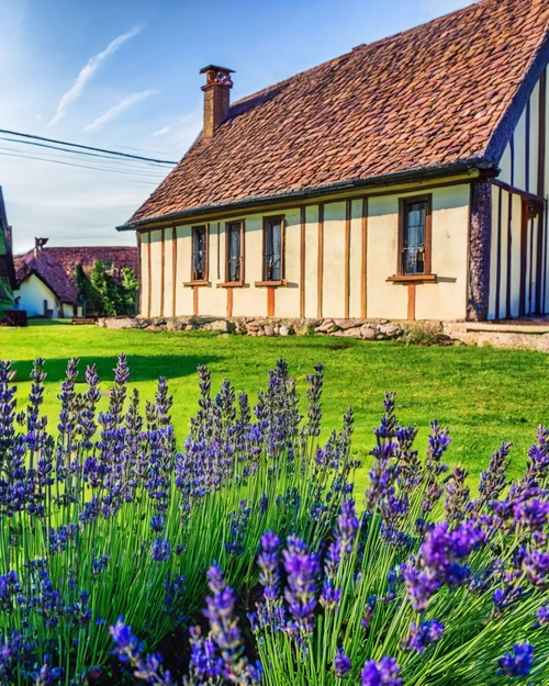 Charming Lavender Cottage