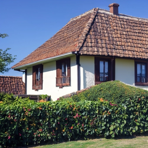 Charming Rustic House