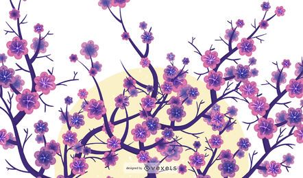 Cherry blossom tree on white background