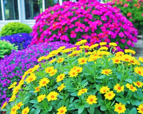 Colorful Flower Garden