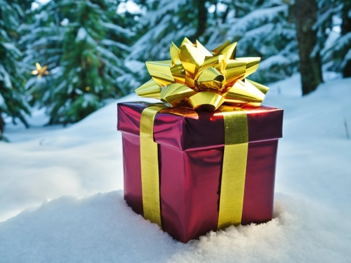 Festive Gift in Snow
