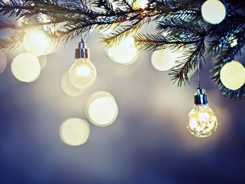 Festive Holiday Lights