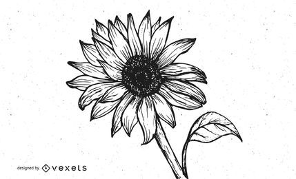 Sunflower in Black Ink