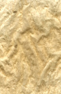 Old paper texture 2
