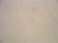 paper texture 2