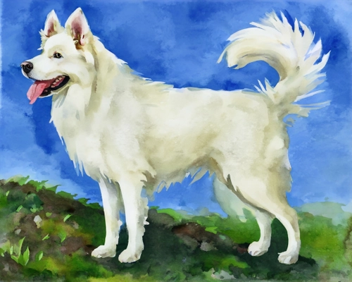 Playful White Dog