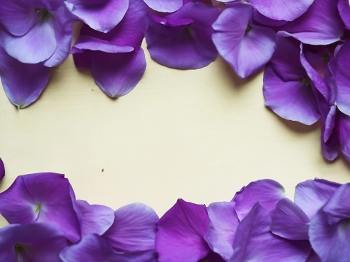 Purple Flower Mockup