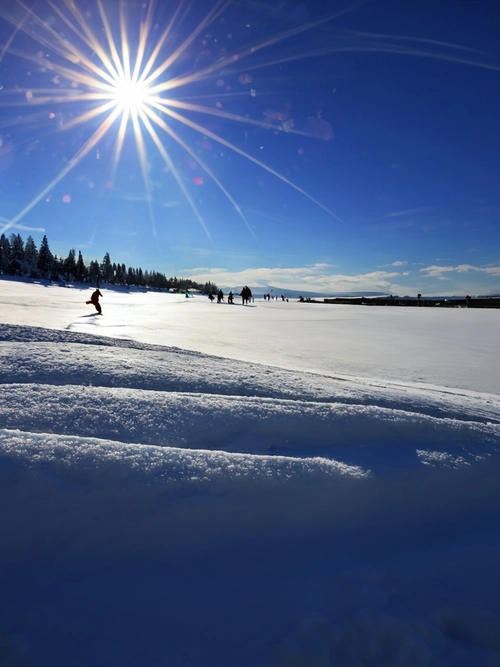Radiant Winter Day