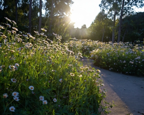 Sunny Flower Path