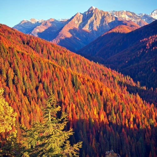 Vibrant Autumn Landscape