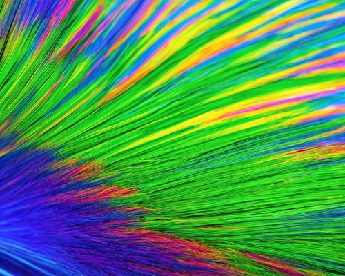 Vibrant Color Burst