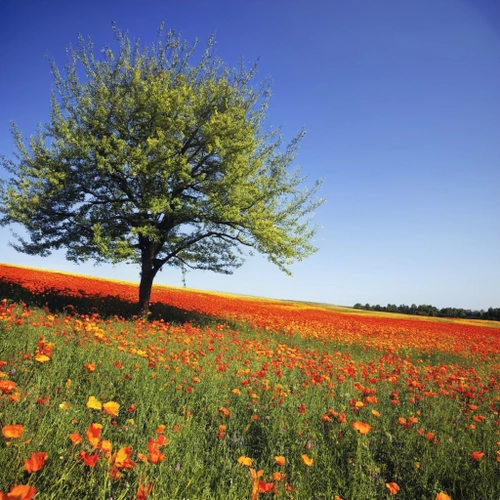 Vibrant Flower Meadow