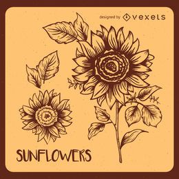 Vintage flower drawings