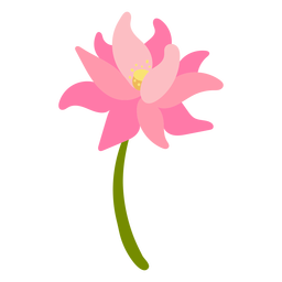 Pink Lily Floral Flat Vector PNG