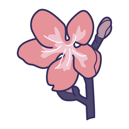 Sakura Cherry Blossom PNG Decal