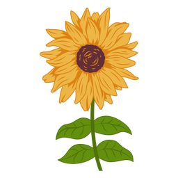 Sunflower Bloom Landscape PNG