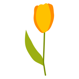 Tulip Blossom Flat PNG Art