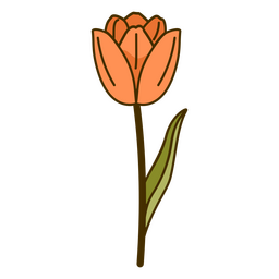 Vibrant Tulip Floral PNG